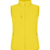 Classic Softshell Vest Women