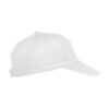 024065_00_TexasBullCap_R