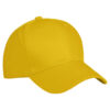 024078-10_ClassicCap_Lemon_closeup2
