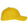 024078-10_ClassicCap_Lemon_right