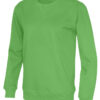 141003_645_cvc_crew_neck_unisex_green