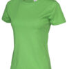 141007_645_r_neck_Tee_lady_green