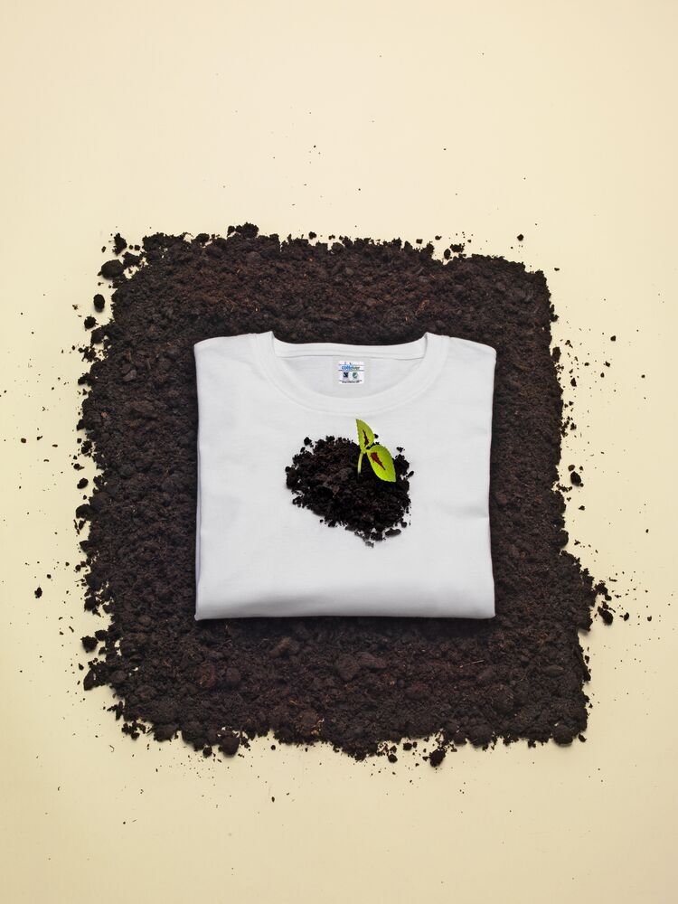 141007_r-neck_t-shirt_white_plant