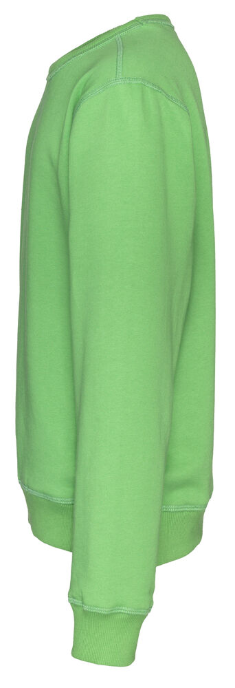 141015_645_crewneck_kid_L_green