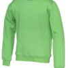 141015_645_crewneck_kid_green