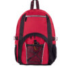 Silver Line Daypack