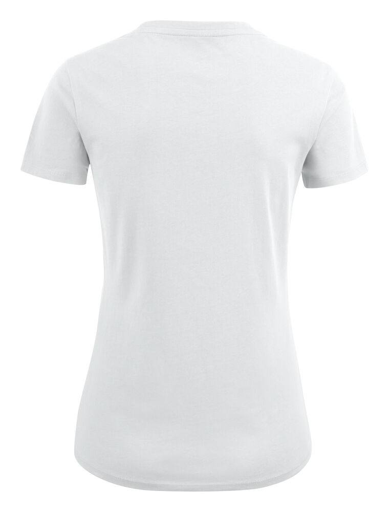 2124008_100_AmericanULady_B