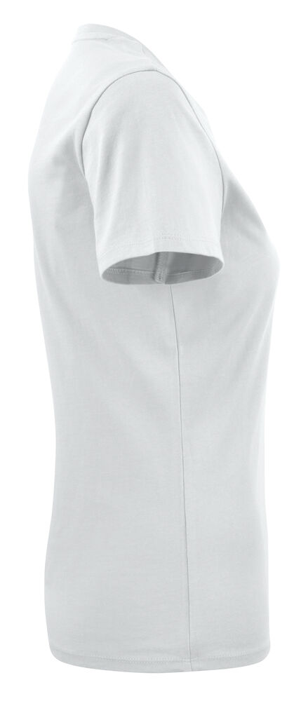 2124008_100_AmericanULady_R