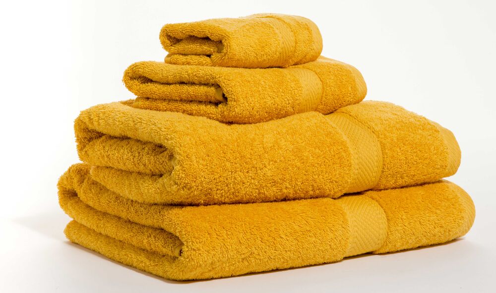 Variation picture for Lion Variation picture for Lion