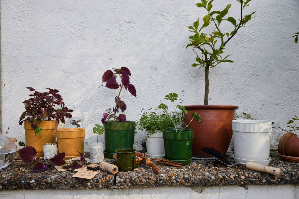 5018395_5018394_5018396_5018397_5018393_5018392_1