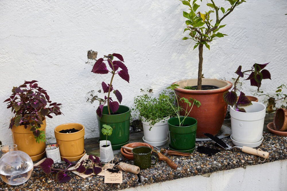 5018395_5018394_5018396_5018397_5018393_5018392_2