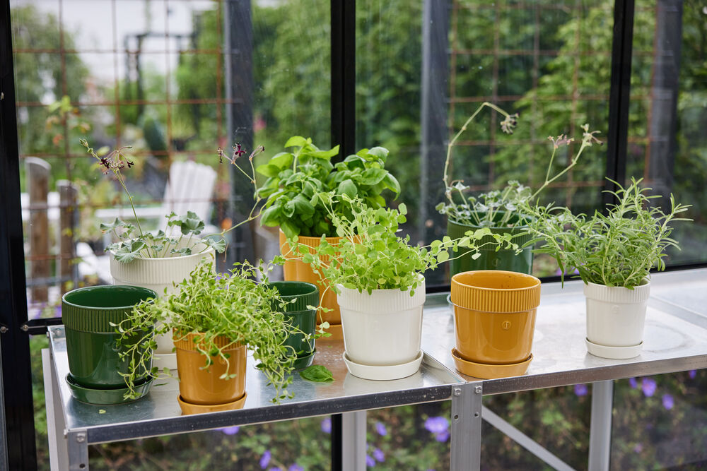 5018395_5018396_5018397_5018394_5018392_5018393_5018488_5018489_5018490