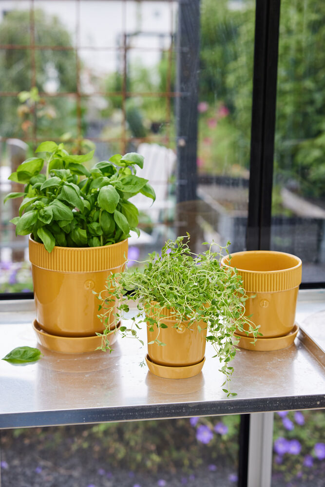 5018397_5018396_5018489_1