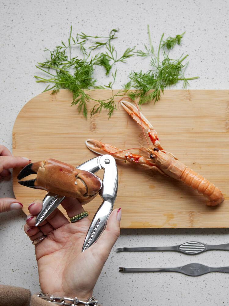 5018408_5018406_5018057_1