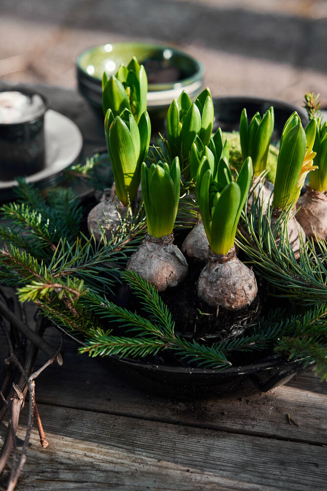 5018416_5018213_5018176_5018412_5018177