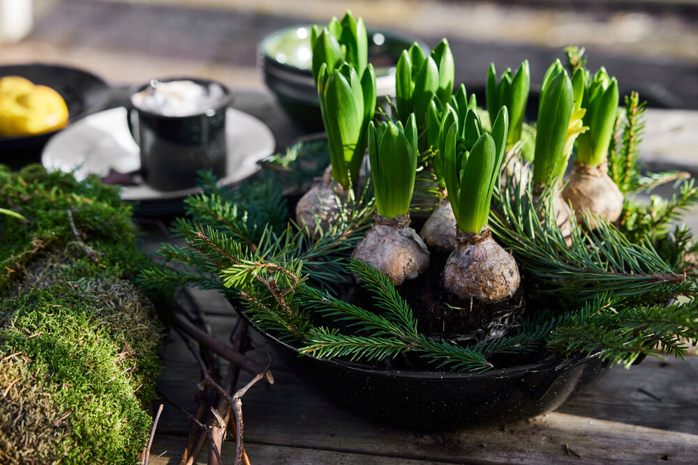 5018416_5018412_5018177