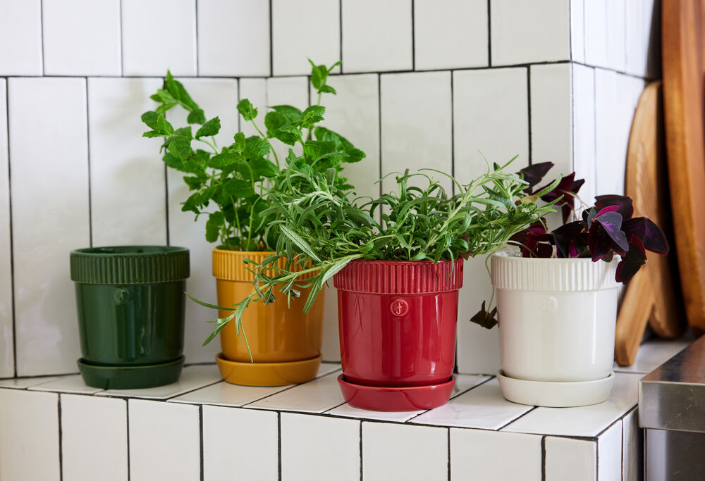 5018490_5018489_5018510_5018488_2