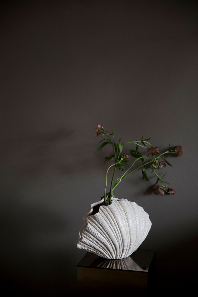 Vase Shell