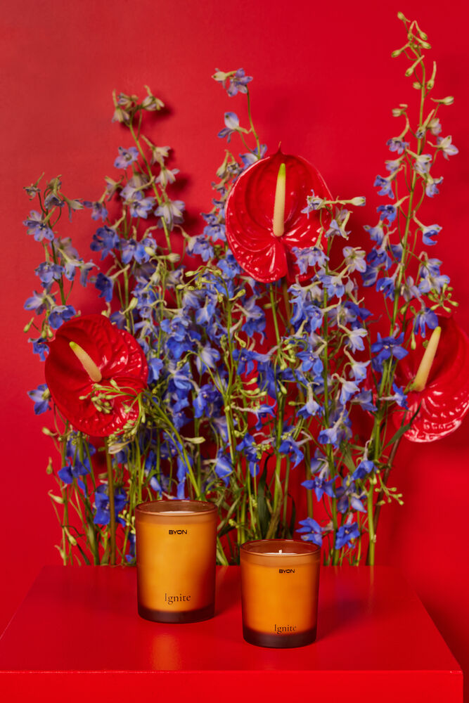 5292452314_5292452414_1