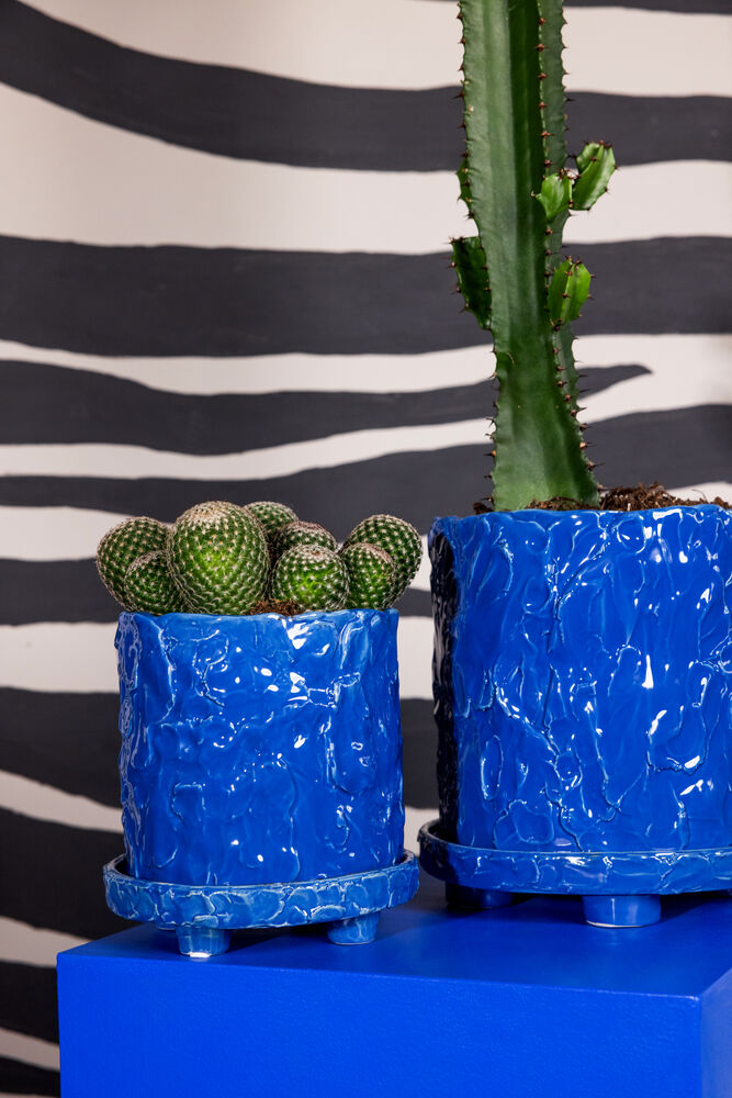 5295303303_5295303403_2_aw25