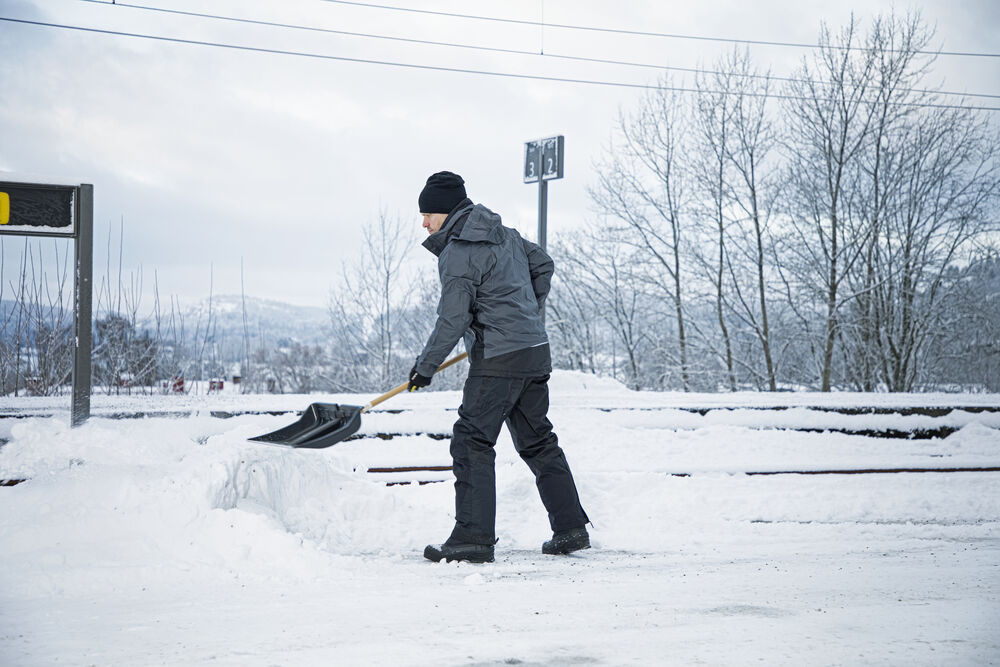 644441_644514_649038_649037