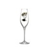 All About You / Let´s Celebrate You champagneglass 24 cl. 2-pk.