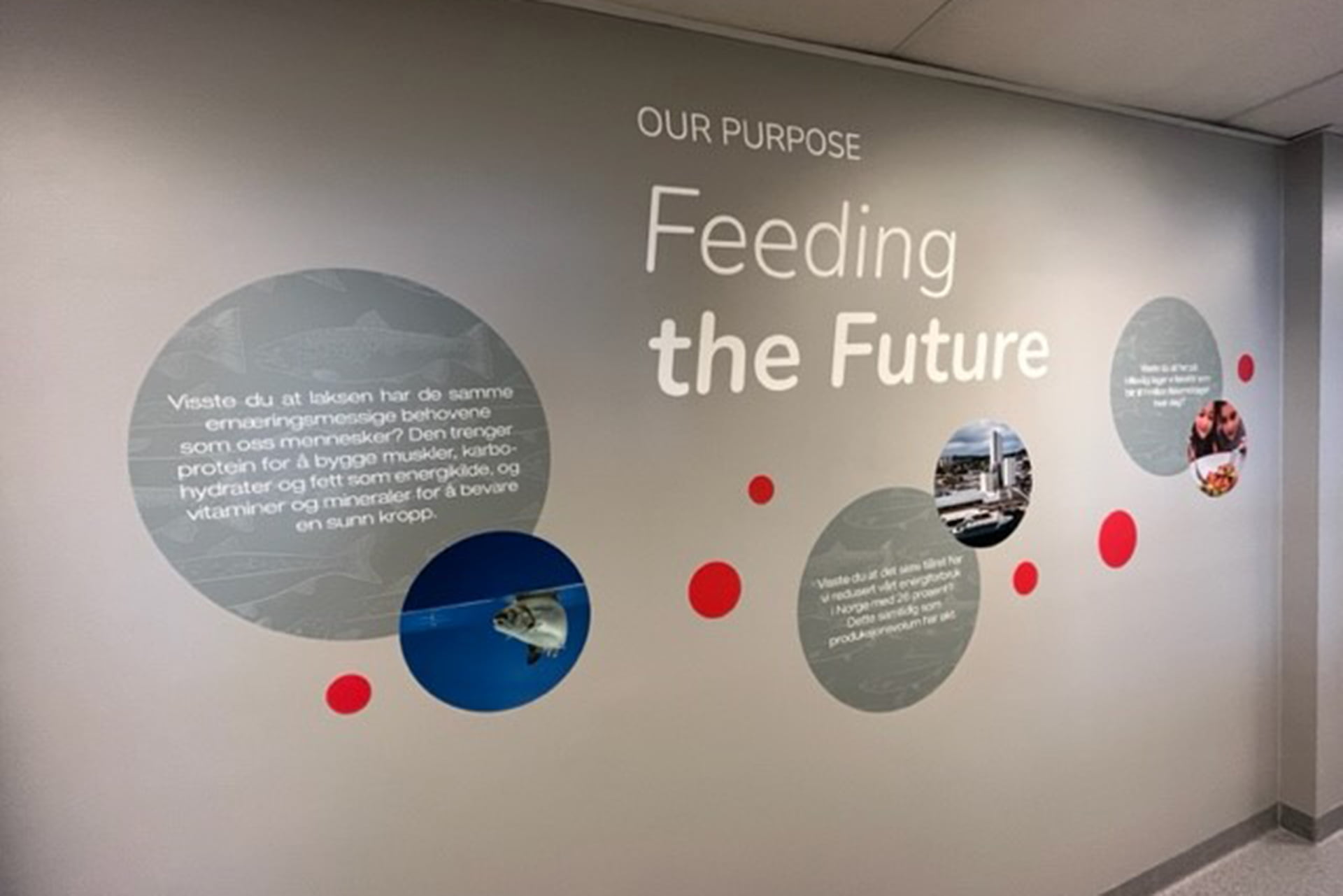 Skretting-gang-banner